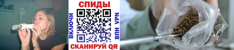 БУТИРАТ BDO 33%  Купить где  Горбатов 