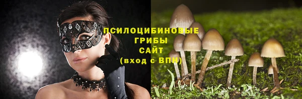 хмурый Киреевск