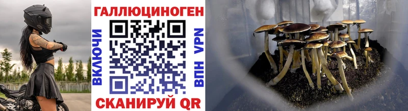 Купить закладки  Горбатов  Галлюциногенные грибы Psilocybine cubensis 